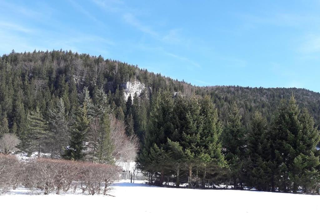 Duplex 59M2 - Proche Centre - Balcon Plein Sud Apartman Corrençon-en-Vercors Kültér fotó