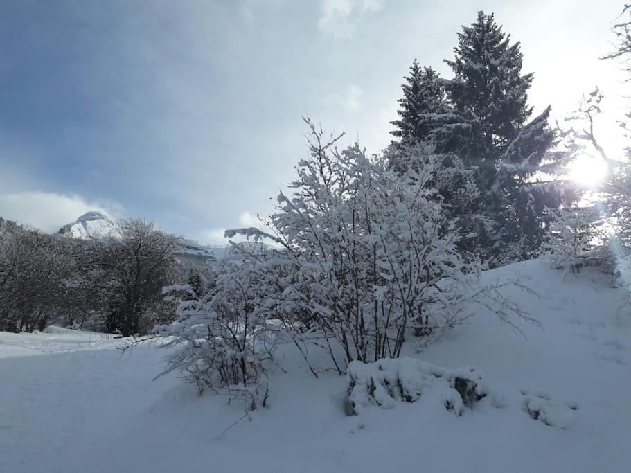 Duplex 59M2 - Proche Centre - Balcon Plein Sud Apartman Corrençon-en-Vercors Kültér fotó